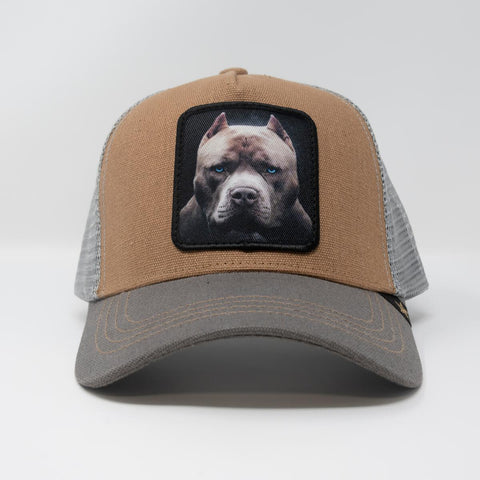 Men Gold Star Pit Bull Khaki/ Gray Trucker hat