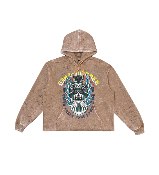 Men Umber Owl and Skull Dissorder Cropped Hoodie
