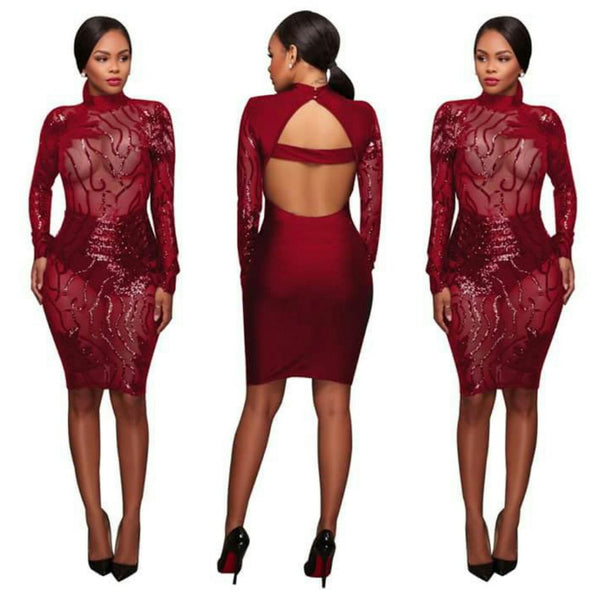 Burgundy See Through Sexy Glittery Club wear Dress