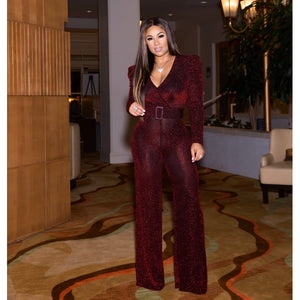 Red wine Long sleeve V-neck shimmer Jumpsuit